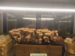 -凤园椰珍·臻品椰子鸡(保利时光里店)