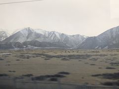 -山丹皇家马场