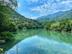 -清溪森林公园