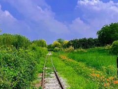 -西青郊野公园