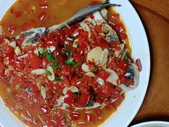 -全乐鱼馆·淳牌有机鱼直营店