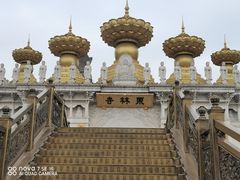 -上海东林寺(金山区)