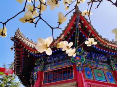-西安市广仁寺
