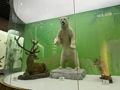 -国家自然博物馆