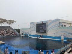 -北戴河圣蓝海洋公园