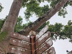 -中国科学院西双版纳热带植物园