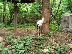 -常州淹城野生动物世界