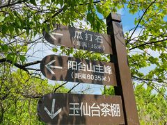 -阳台山自然风景区