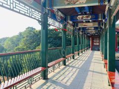 -北京十三陵国家森林公园蟒山景区