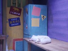 -上海海昌海洋公园-冰山北极馆