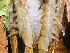 -味舵主重庆火锅(邓尉路店)