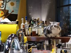 -咖法森林·咖啡  酒吧(天河店)