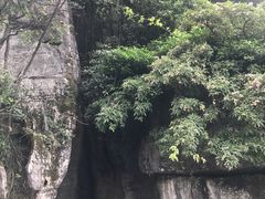 -梦幻奥陶纪景区