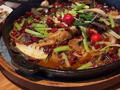 -老板恋上鱼(恒隆广场店)