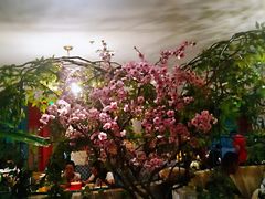 -茉莉餐厅(包河万达店)