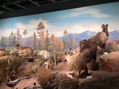 -陕西自然博物馆