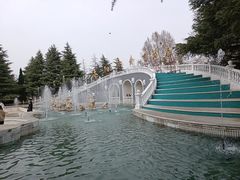 -洛阳郁金香牡丹园