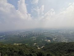 -杭州半山国家森林公园