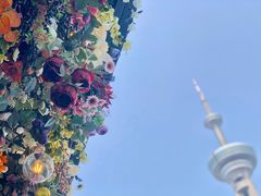 -成都娃娃花园餐厅 (南艺旗舰店)