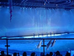 -上海海昌海洋公园