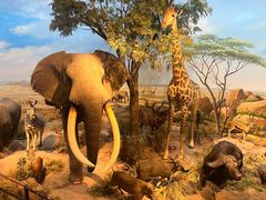 -陕西自然博物馆