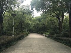 -长广溪湿地公园