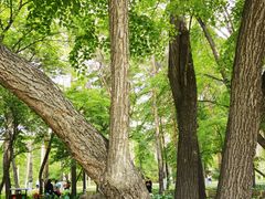 -黑龙江省森林植物园