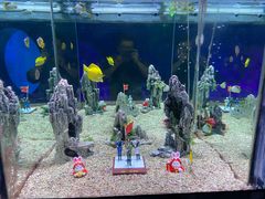 -烟台海昌鲸鲨海洋公园