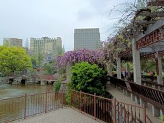 -郑和公园