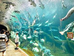 -波塞冬旅游度假区