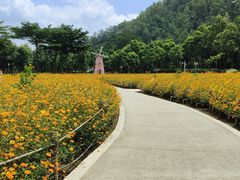 -顺峰山公园