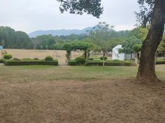 -福建鲤鱼洲酒店