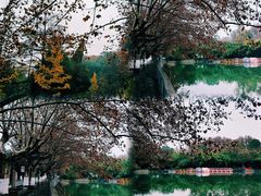 -花溪公园