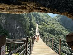 -武陵山森林公园