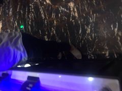 -加餐海鲜自助(集美银泰百货店)
