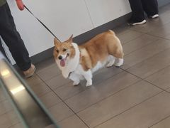 -麦当劳(长江西路得来速店)