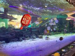 -凯德广场(学府店)