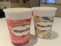 -哈根达斯(武汉天地店)