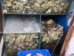 水产区-鸿港海鲜批发市场