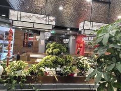 -洞庭家宴·头牌甲鱼(广渠门店)
