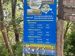 -盐城丹顶鹤湿地生态旅游区