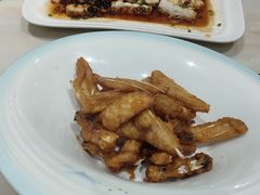 -港升鱼师傅·中山脆肉鲩