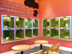 -芸山季·云南野生菌火锅(宝能环球汇店)