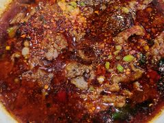 水煮肉片-雨田饭店