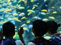 -金豆子幼稚园