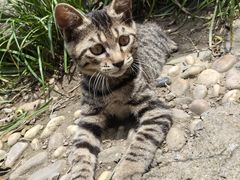 -漫渡庄•留芳小馆•泰州早茶•锡帮菜