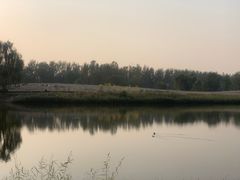 -东郊湿地公园