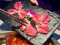 -红鼎坊·老成都火锅(新南门店)
