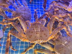 -驻海渔市(置信店)