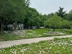 -石家庄市植物园